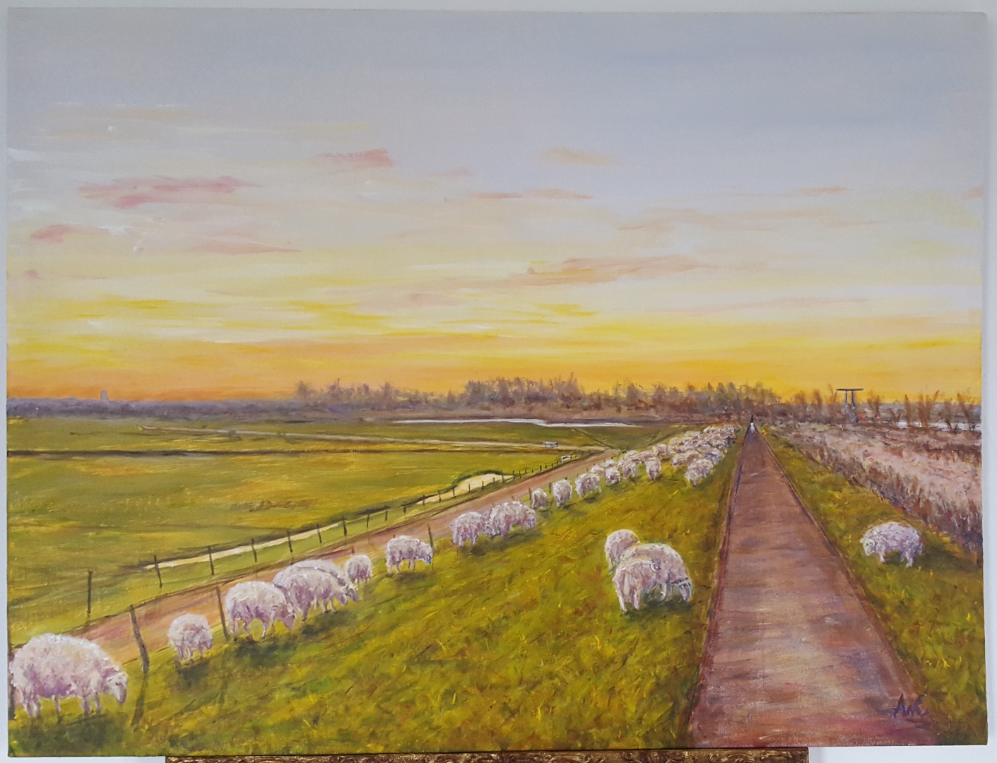 schapen op polderdijk Putten - Nijkerk bij zonsondergang